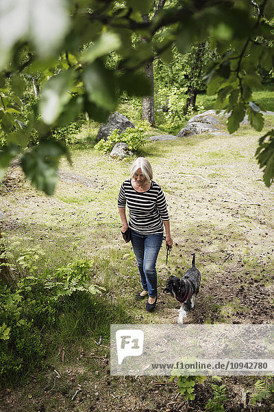 High angle view of senior woman and dog walking on field
