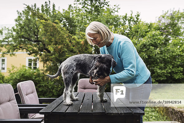 Seniorin beim Schneiden von Hundenägeln auf dem Tisch im Hof