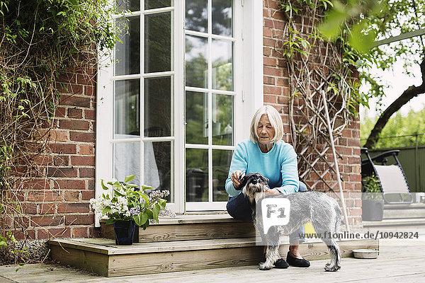 Seniorin beim Kämmen von Hundehaaren am Hauseingang