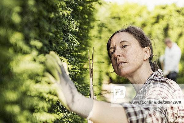 Frau untersucht Pflanzen im Gemeinschaftsgarten