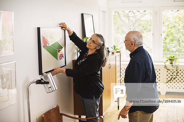 Senior Mann schaut Frau an  die zu Hause einen Bilderrahmen hängt.