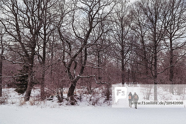 Couple walking towards bare trees in forest during winter