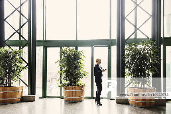 Geschäftsfrau mit Smartphone  während sie bei Topfpflanzen im Büro steht.