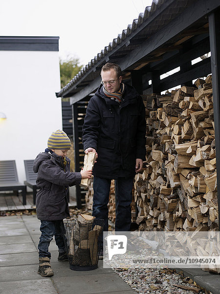 Vater und Sohn beim Sammeln von Feuerholz in einem Korb