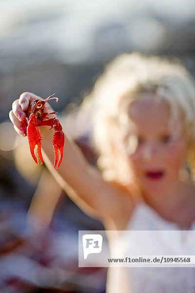 Girl holding red crayfish