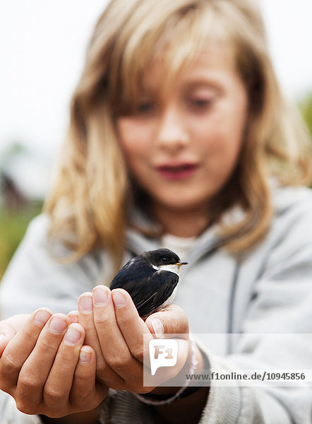 Girl holding swallow