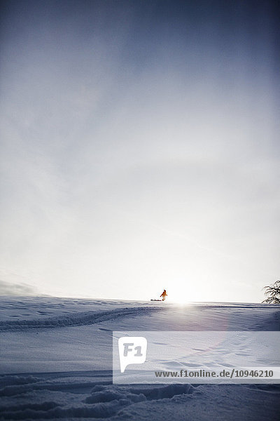 Silhouette of person with toboggan in winter landscape