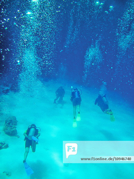 Tourists scuba-diving in sea