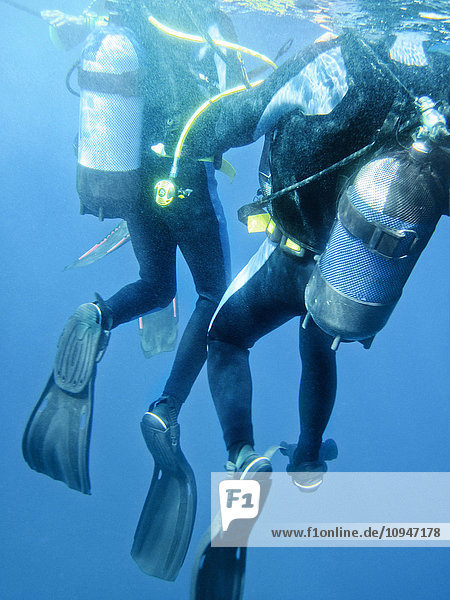 Two divers underwater