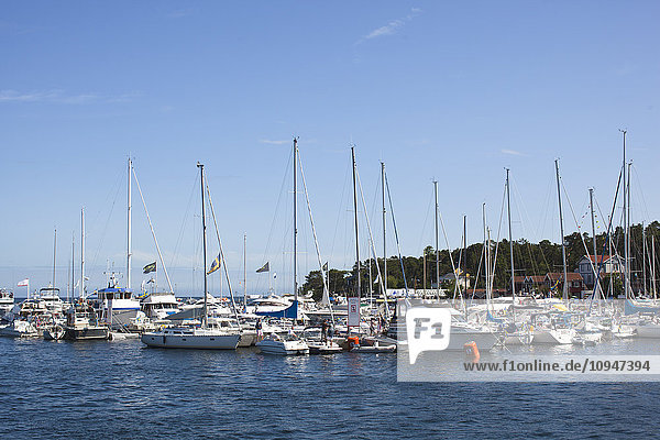Yachts and sailing boats in harbor