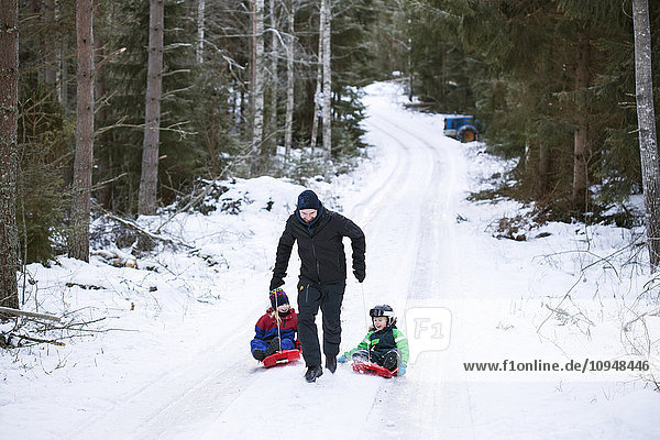 Father pulling children on sleigh
