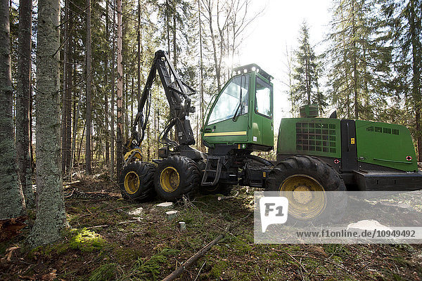 Logging truck in forest