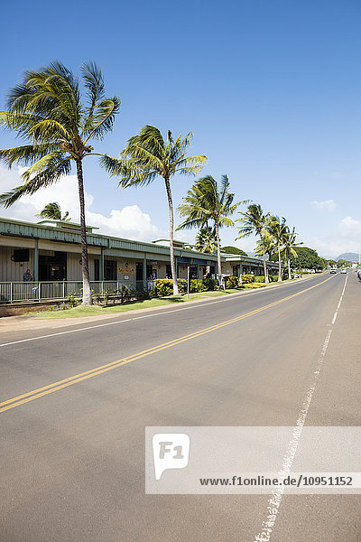 Buildings and palm trees along road