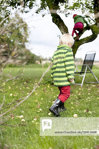 Boy walking in garden and girl climbing tree