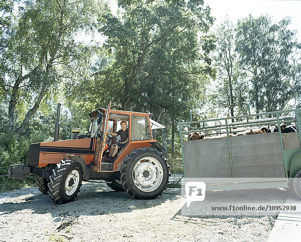 Bauernhof - Traktor