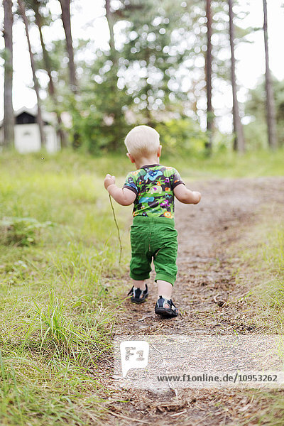 Kleiner Junge geht auf einem Pfad im Wald