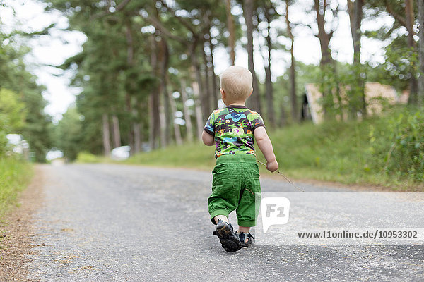 Kleiner Junge geht auf einer Straße im Wald