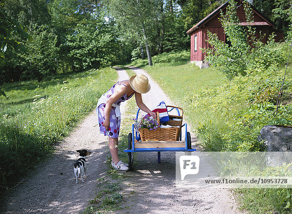 Frau mit Picknickkorb geht mit dem Hund spazieren.