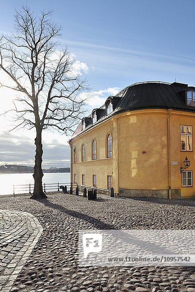 Haus und Baum am Wasser  Stockholm  Schweden.