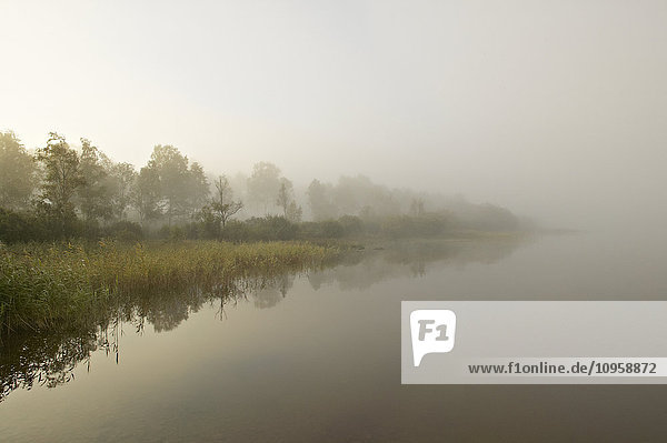In Nebel gehüllter See in der Morgendämmerung  Schweden.