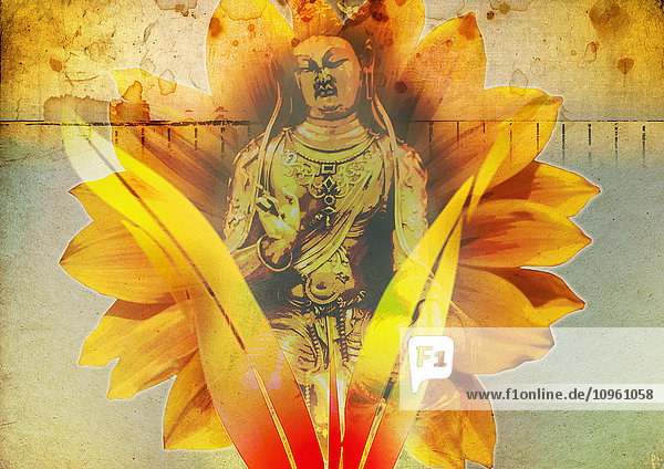 Lotusblume hinter einem Buddha-Bild
