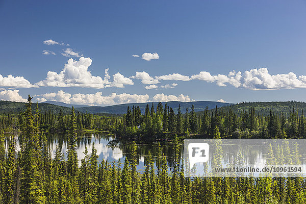 Aussicht auf die kanadische Seite der Grenze zwischen Kanada und den USA  Yukon-Territorium  Sommer