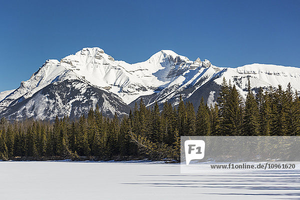 Schneebedeckte Berge mit einem schneebedeckten See  immergrüne Bäume und blauer Himmel; Banff  Alberta  Kanada'.
