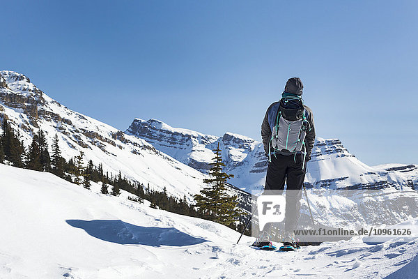 'Female snowshoer looking over snow covered mountain range and blue sky; Banff  Alberta  Canada'