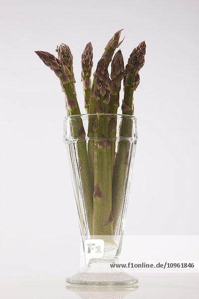 Spargel (Asparagus officinalis) im Glas; Edmonton  Alberta  Kanada'.