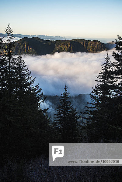 Nebel füllt die Täler in der Morgendämmerung am Saddle Mountain; Hamlet  Oregon  Vereinigte Staaten von Amerika'.