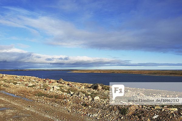 Tundra und der Arktische Ozean; Cambridge Bay  Nunavut  Kanada