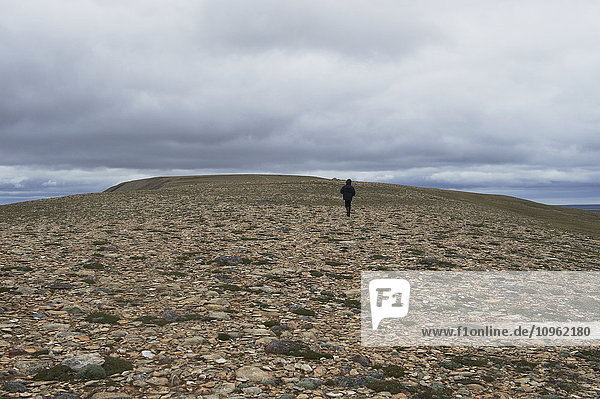 Wanderung auf den Mount Pelly  Ovayok Territorial Park  nahe Cambridge Bay; Nunavut  Kanada'.