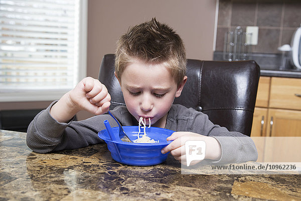 Junge isst Nudeln am Küchentisch; Spruce Grove  Alberta  Kanada'.