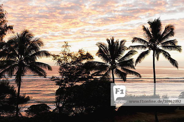 Morgensonnenaufgang durch die Palmen am Lydgate Beach; Lydgate  Kauai  Hawaii  Vereinigte Staaten von Amerika'.