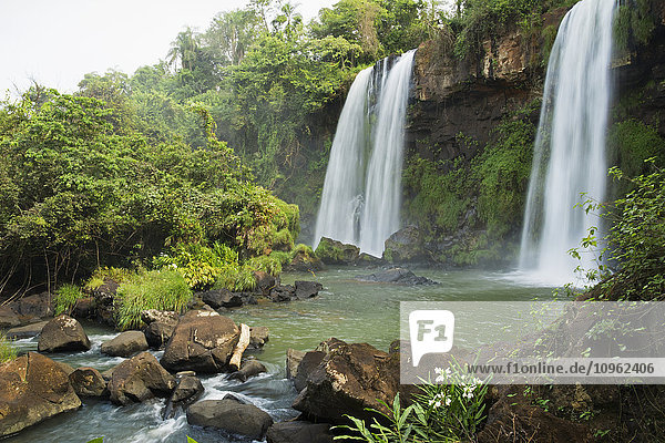 Drei Wasserfälle in tropischer Landschaft mit Blumen im Vordergrund; Missiones  Argentinien'.
