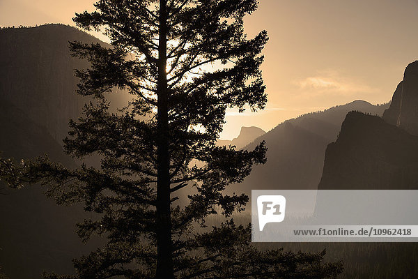 Sonnenaufgang über dem Half Dome am Tunnel View  Yosemite National Park; Kalifornien  Vereinigte Staaten von Amerika'.