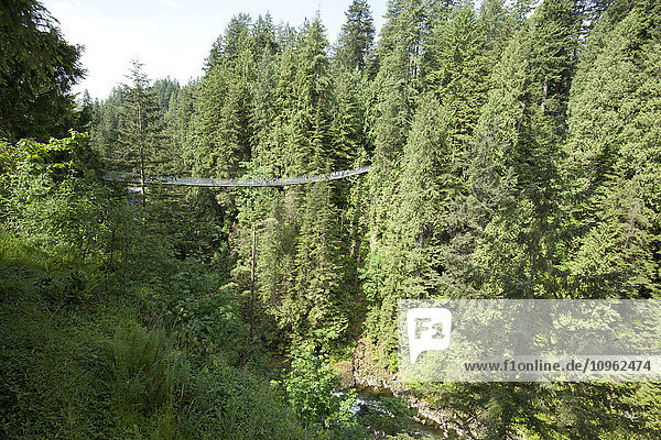 'Capilano Suspension Bridge; Vancouver  British Columbia  Canada'