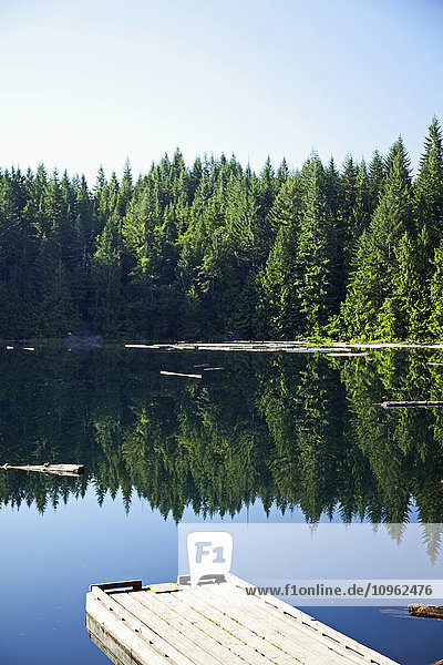 Morgenlicht am Cat Lake  nördlich von Squamish; British Columbia  Kanada'.