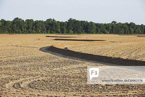 'Rice field that has just been planted; England  Arkansas  United States of America'