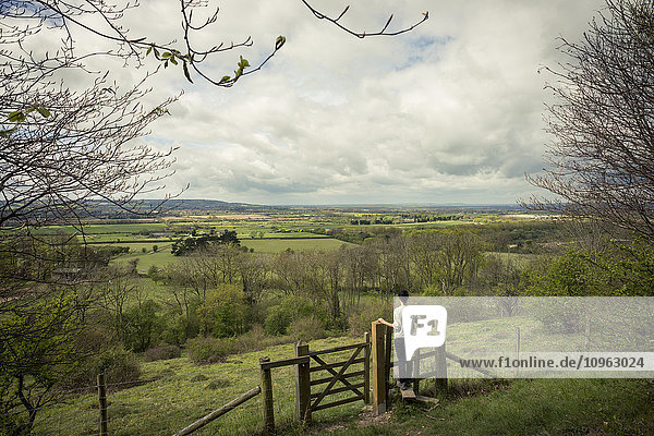 Wandern in der englischen Landschaft; Tring  Borough of Dacorum  Hertfordshire  England'.