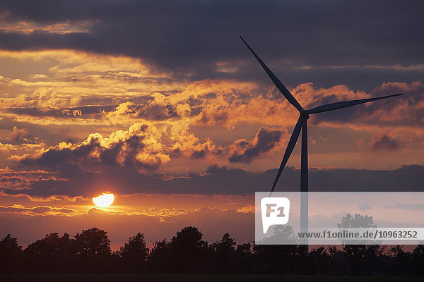 Windkraftanlage bei Sonnenuntergang  westlich von Comber; Ontario  Kanada'.