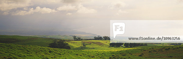 'View of ranch land on the Big Island with the Pacific Ocean and a partly cloudy sky beyond; Waimea  Island of Hawaii  Hawaii  United States of America'