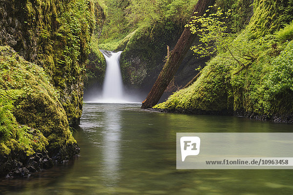 Punchbowl Falls; Oregon  Vereinigte Staaten von Amerika'.