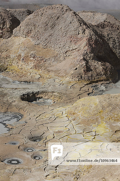 Das geothermische Gebiet bringt den Schlamm zum Kochen  Region Altiplano; Sur Lipez  Bolivien .