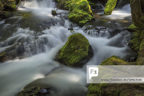 'A portion of Panther Creek; Washington United States of America'
