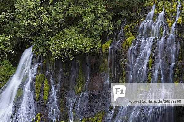 Upper Panther Falls; Washington  Vereinigte Staaten von Amerika'.