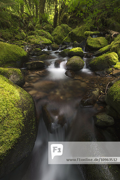 'Ruckel Creek; Oregon United States of America'