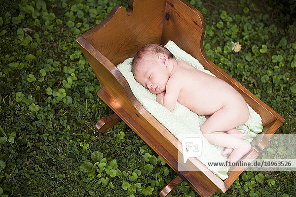 Ein nacktes neugeborenes Baby schläft in einer hölzernen Wiege inmitten von Laub; Nashville  Tennessee  Vereinigte Staaten von Amerika