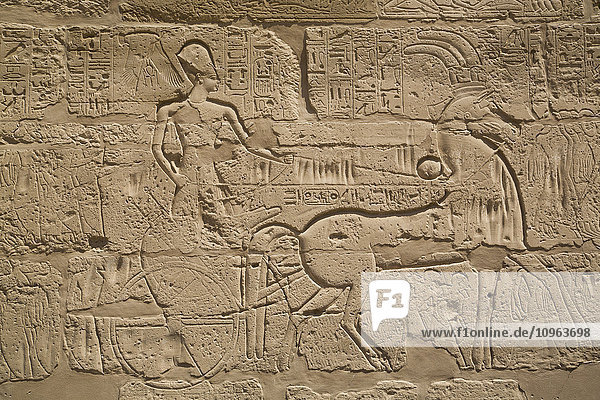 Pharao Tuthmose III. auf einem Streitwagen  Karnak-Tempelkomplex; Luxor  Ägypten'.