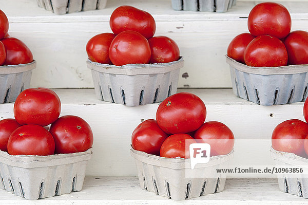 Leuchtend rote Tomaten in Kisten gestapelt; Denton  Maryland  Vereinigte Staaten von Amerika'.